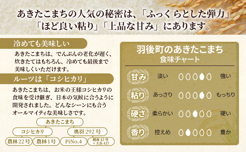 ［令和7年産］秋田県産 あきたこまち 10kg (5kg×2袋) 羽後町産 [藤原商店]【 米 お米 白米 精米 あきたこまち アキタコマチ 美味しい 秋田 羽後 】