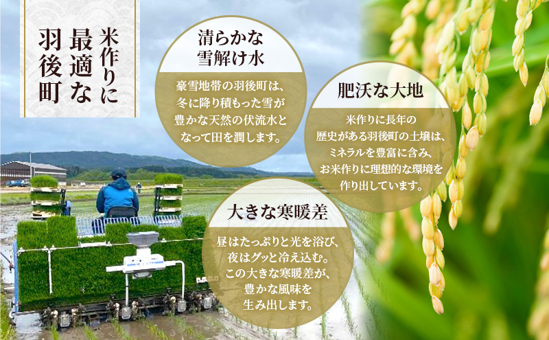 新米［令和7年産］秋田県産 あきたこまち 20kg (5kg×4袋) 羽後町産 [藤原商店]【 米 お米 白米 精米 新米 あきたこまち アキタコマチ 美味しい 秋田 羽後 】