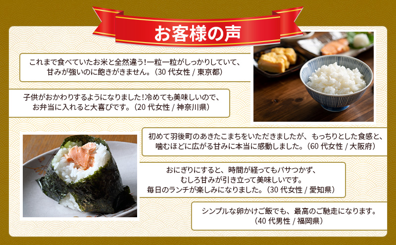 新米［令和7年産］秋田県産 あきたこまち 20kg (5kg×4袋) 羽後町産 [藤原商店]【 米 お米 白米 精米 新米 あきたこまち アキタコマチ 美味しい 秋田 羽後 】