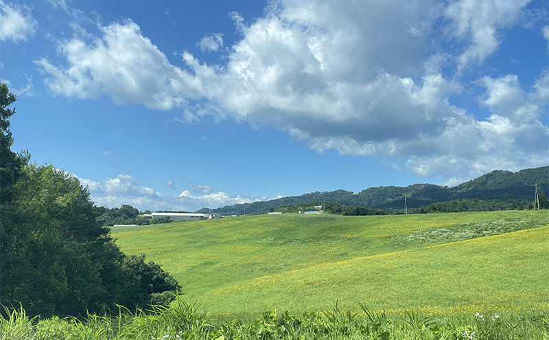 【有機肥料】羽後ユーキ(C/N比13以上) 40L (約12kg)×3個 肥料 堆肥 有機堆肥 ガーデニング 自家栽培 農業 循環型農業 国産