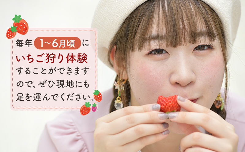 秋田県 羽後町産 訳あり いちご 品種指定不可 300g×2パック　[ いちご 苺 イチゴ フルーツ 果物 ]