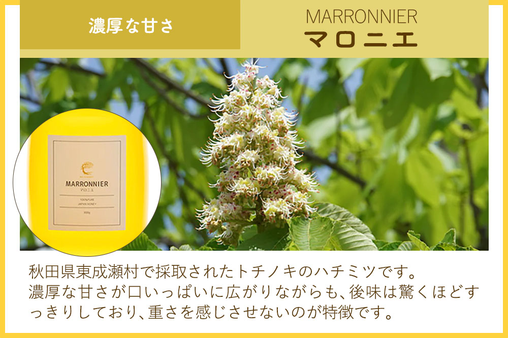 はちみつ2個セット（MARRONNIER・KENPONASHI プラスチックボトル）300g×各1個 計2個