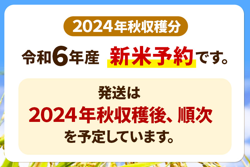 令和6年度産秋田こまち30kg玄米です。 令和6年度産秋田こまち