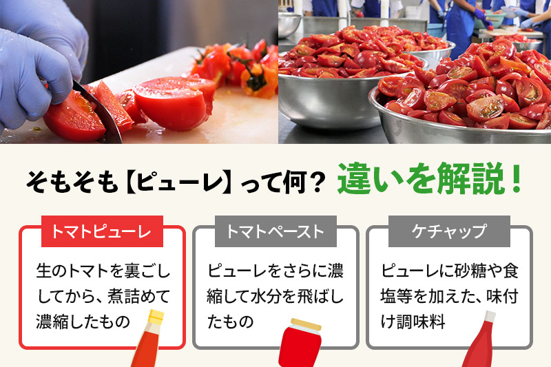 飲めるトマトのピューレ 2本セット