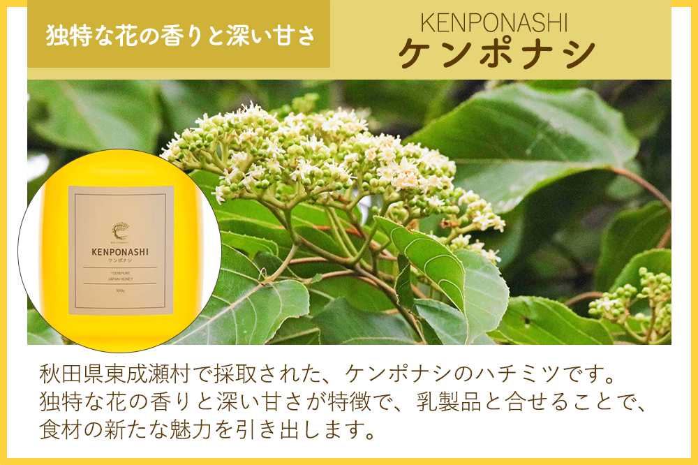 はちみつ2個セット（MARRONNIER・KENPONASHI プラスチックボトル）300g×各1個 計2個