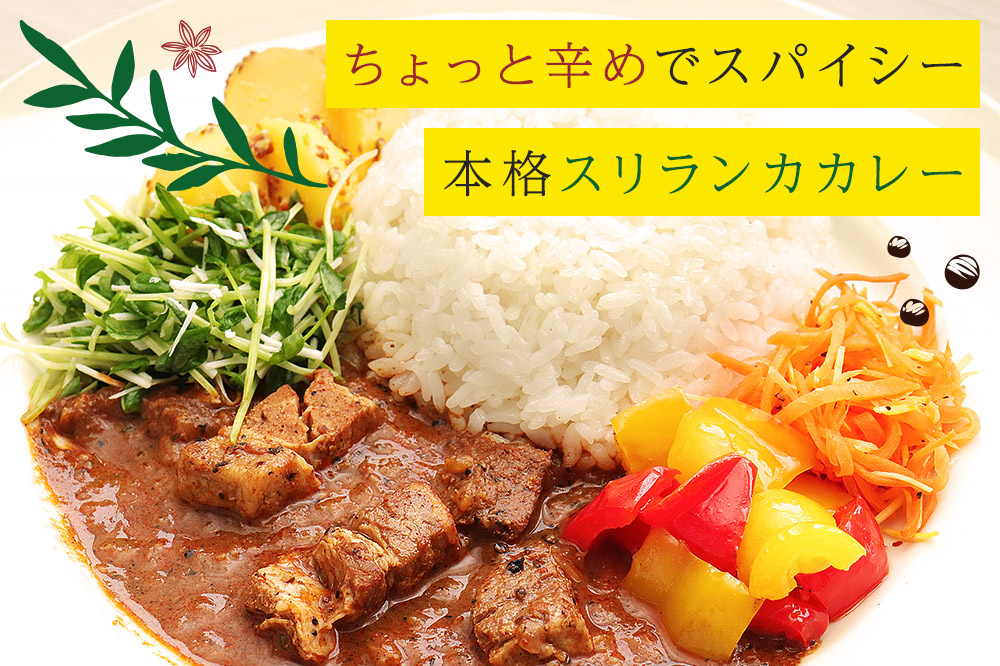 成瀬ダム スリランカカレー 100g×1個  ゆうパケット