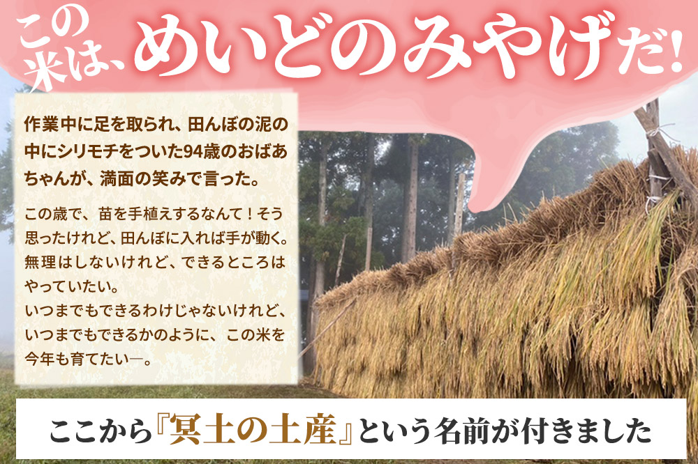 米 あきたこまち 【R7年産新米受付】冥土の土産 10kg×1袋 秋田県 東成瀬村