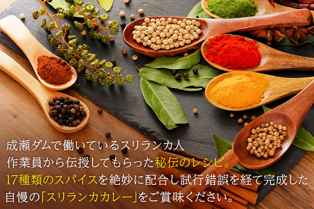 成瀬ダム スリランカカレー 100g×1個  ゆうパケット