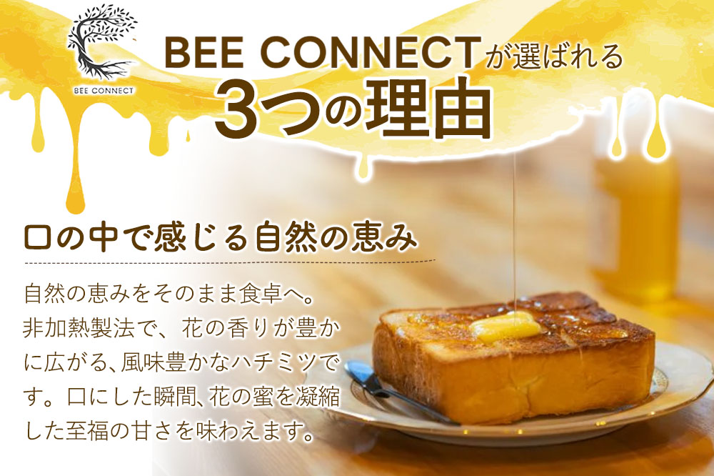 はちみつ2個セット（MARRONNIER・KENPONASHI プラスチックボトル）300g×各1個 計2個