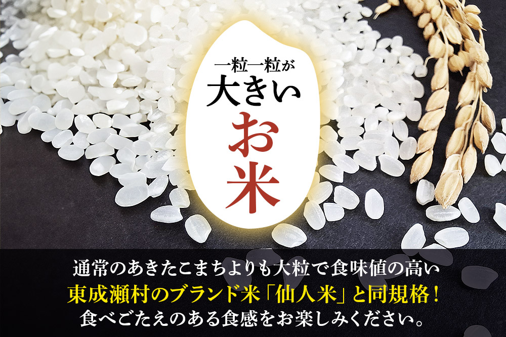 米【白米】令和7年産 東成瀬村産 あきたこまち 5kg（5kg×1袋）
