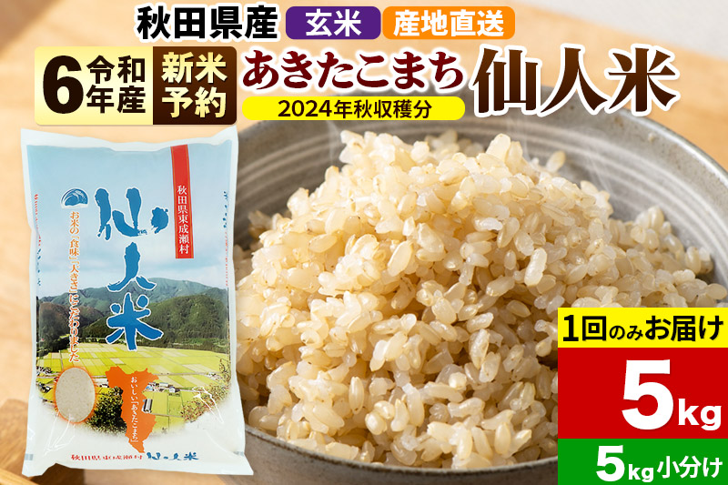 秋田県産 令和6年産 一等米あきたこまち 玄米15キロ