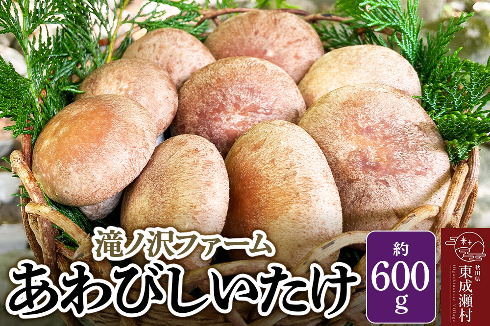 椎茸 あわびしいたけ 約600g 滝ノ沢ファーム 菌床 シイタケ きのこ 食べ応え 肉厚 茸 秋田県 国産 大ぶり 高品質