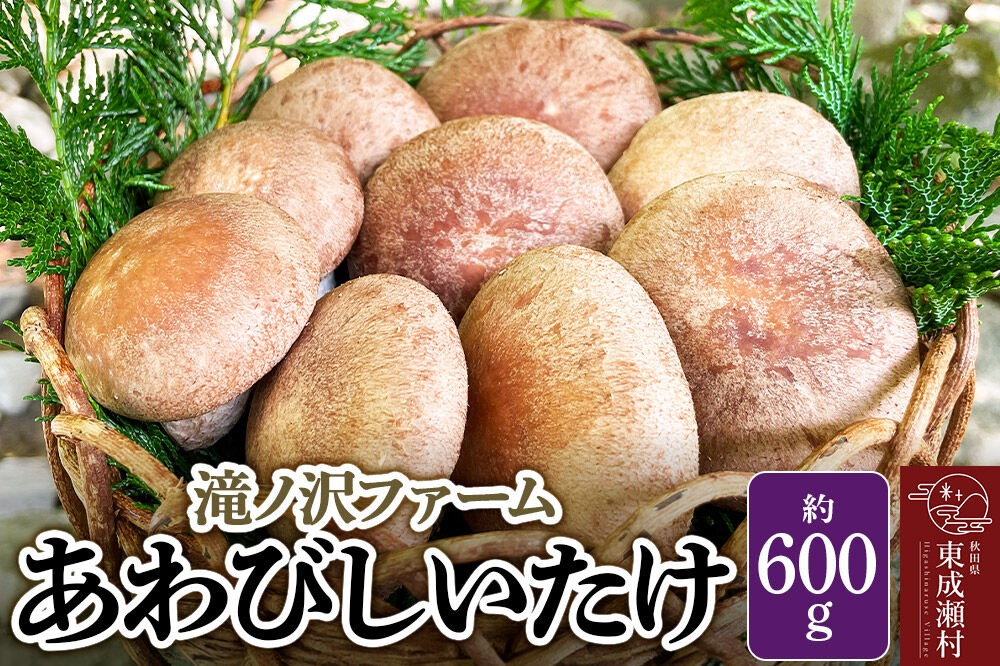 椎茸 あわびしいたけ 約600g 滝ノ沢ファーム 菌床 シイタケ きのこ 食べ応え 肉厚 茸 秋田県 国産 大ぶり 高品質 [きのこ しいたけ 椎茸 シイタケ 東成瀬村 あわび 食べ応え 菌床 無農薬 農薬不使用 朝採り 新鮮 食感 ギフト 贈り物]