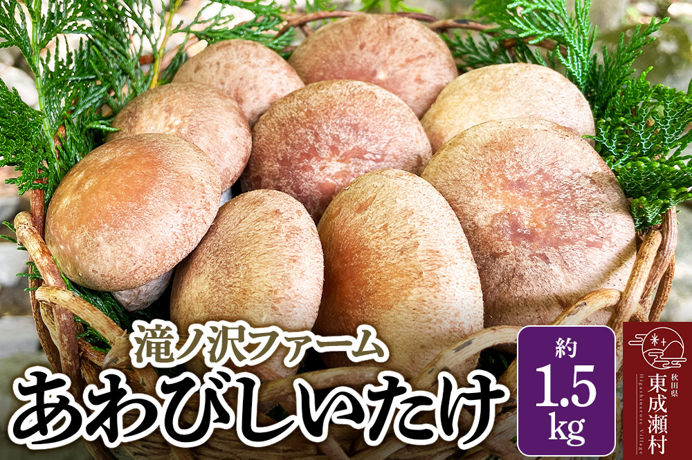 椎茸 あわびしいたけ 約1.5kg 滝ノ沢ファーム 菌床 シイタケ きのこ 食べ応え 肉厚 茸 秋田県 国産 大ぶり 高品質