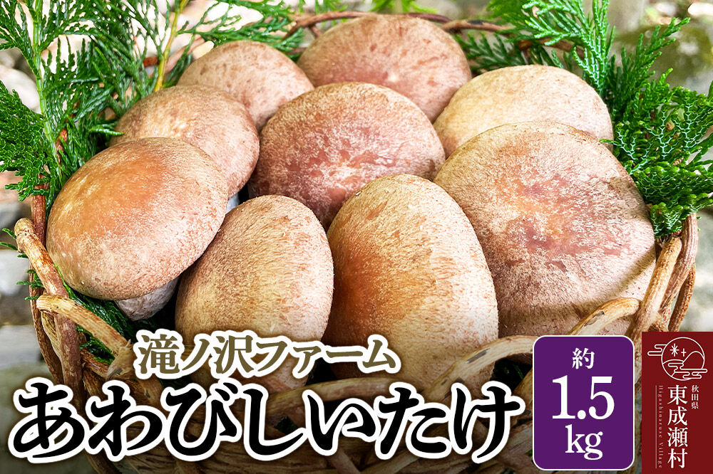 椎茸 あわびしいたけ 約1.5kg 滝ノ沢ファーム 菌床 シイタケ きのこ 食べ応え 肉厚 茸 秋田県 国産 大ぶり 高品質 [きのこ しいたけ 椎茸 シイタケ 東成瀬村 あわび 食べ応え 菌床 無農薬 農薬不使用 朝採り 新鮮 食感 ギフト 贈り物]