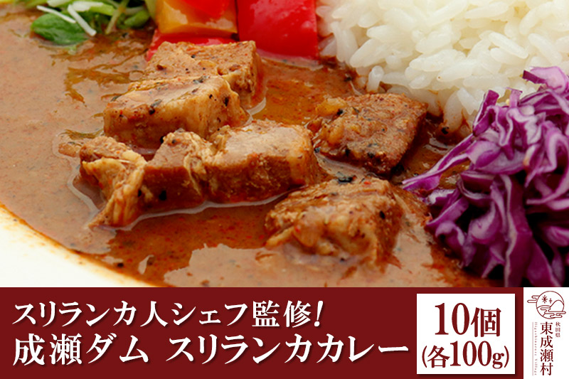 成瀬ダム スリランカカレー 100g×10個