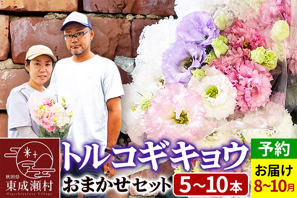 令和8年収穫分 花 生花 トルコギキョウおまかせセット (5～10本)【先行予約】 かねはちファーム【2026年8月上旬から順次発送予定】
