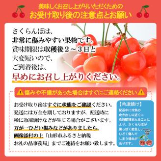 山形市産 さくらんぼ 【やまがた紅王】 2L/3Lサイズ混合 24粒