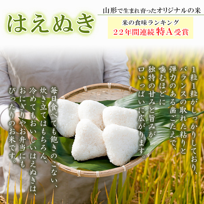 【令和7年産米 新米】山形市 村木沢産 はえぬき(玄米) 10kg 