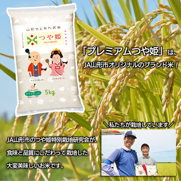 【定期便2回】[令和6年産] プレミアムつや姫（特別栽培米）