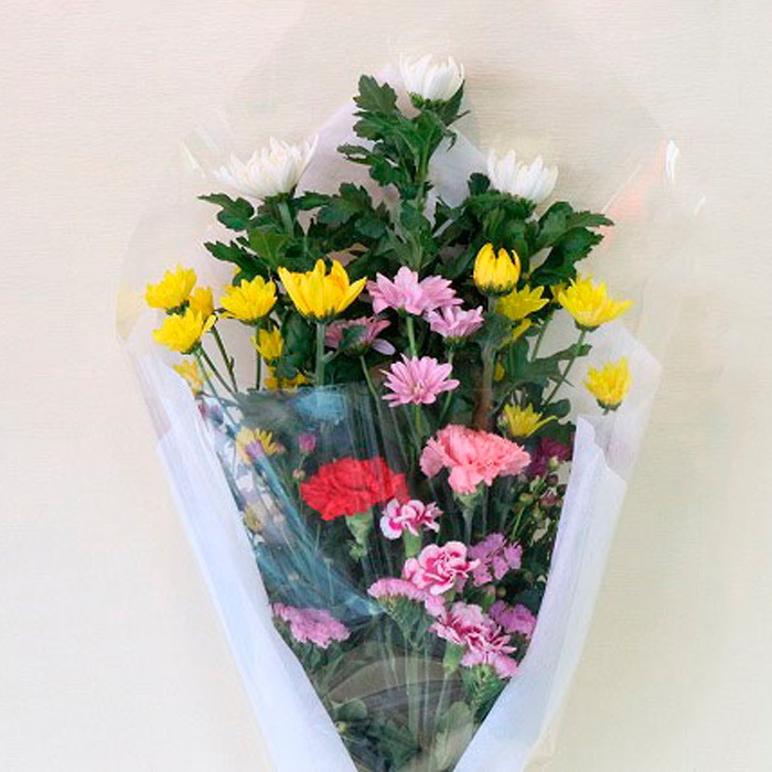 定期便12回 ご命日花束定期便 FZ19-927