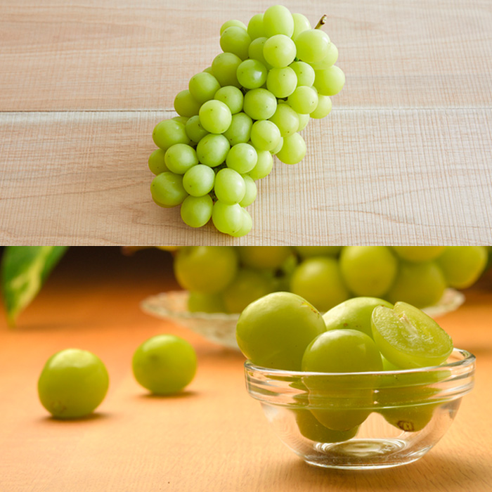 【定期便5回】山形市☆冬のフルーツ定期便 【令和8年産先