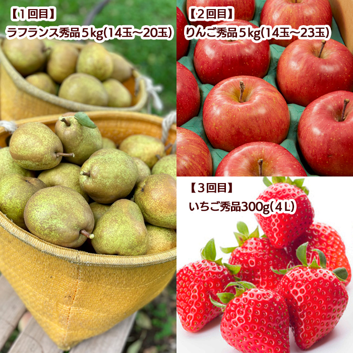 【定期便5回】山形の果実冬から春へ【さくらコース】 FZ20-5