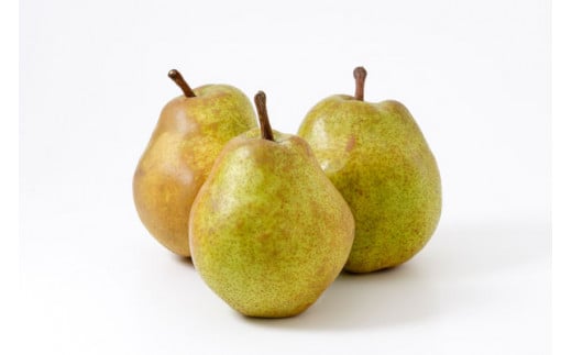 西洋なしの女王「山形ラフランス」5kg 【令和7年産先行予約