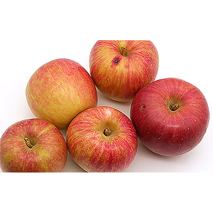 【家庭用】無袋栽培ふじりんご 優品 約10kg入り りんご リン