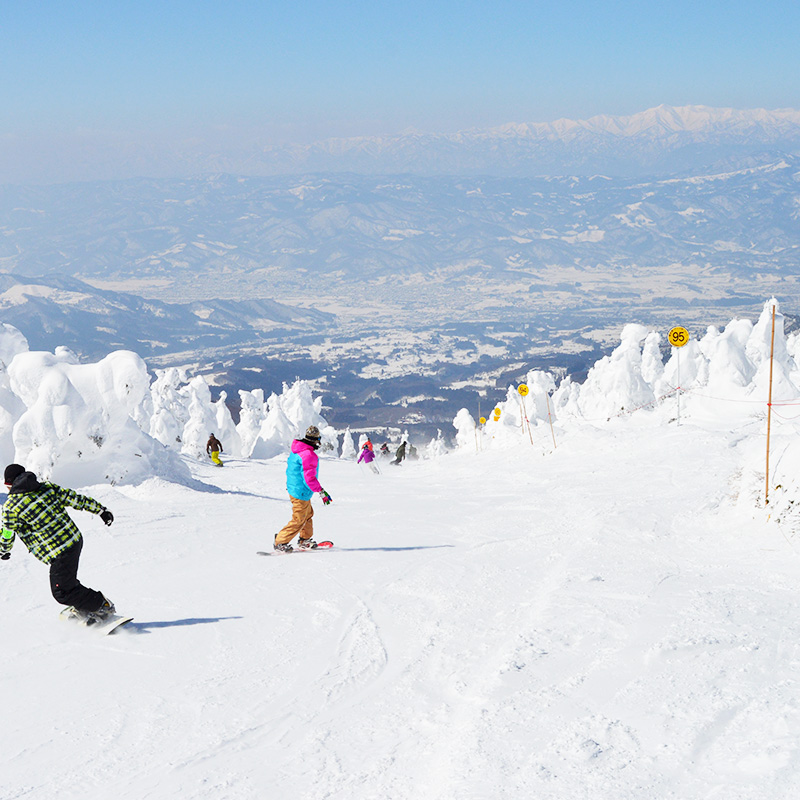 【2025-2026シーズン】蔵王温泉スキー場 リフト1日券 特別優