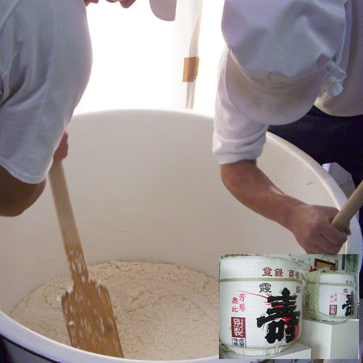 一升瓶　定番酒　飲み比べセット 1.8L×6本【寿虎屋酒造】 FY