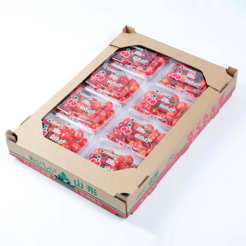 さくらんぼ 佐藤錦 L 1440g(180g×8) 【令和8年産先行予約】FS25-5