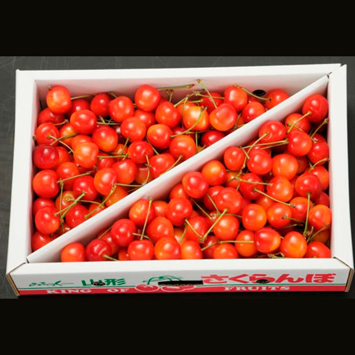 さくらんぼ 佐藤錦 Ｌ1kg バラ詰め 【令和8年産先行予約】FS2