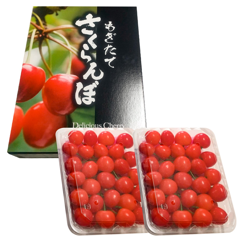 山形産 さくらんぼ 佐藤錦 L 600g(300g×2パック入) 【令和8年産