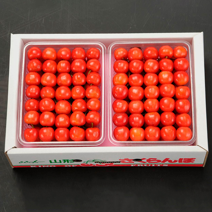 さくらんぼ 佐藤錦 Ｌ(500g×2)手詰 【令和8年産先行予約】FS25