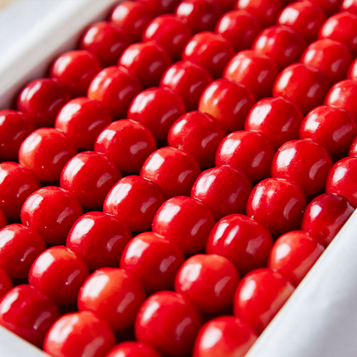 山形産 さくらんぼ 佐藤錦 特秀 本詰め L～2L(約700g)特撰桐箱