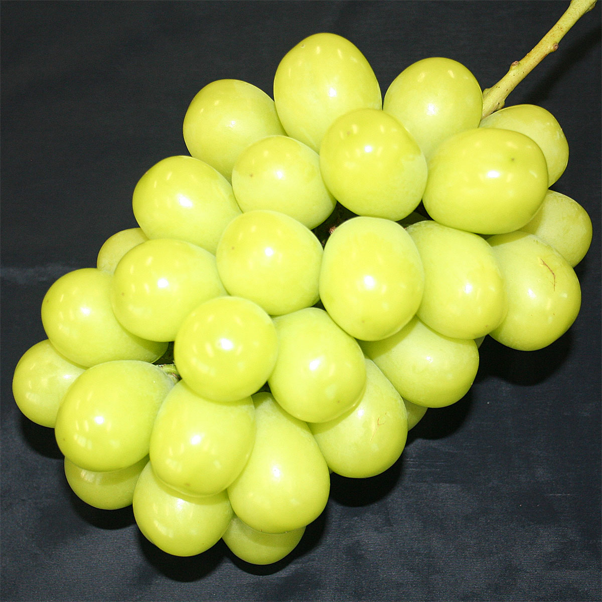 山形産 シャインマスカット 約1.7kg(3～5房)【令和8年産先行