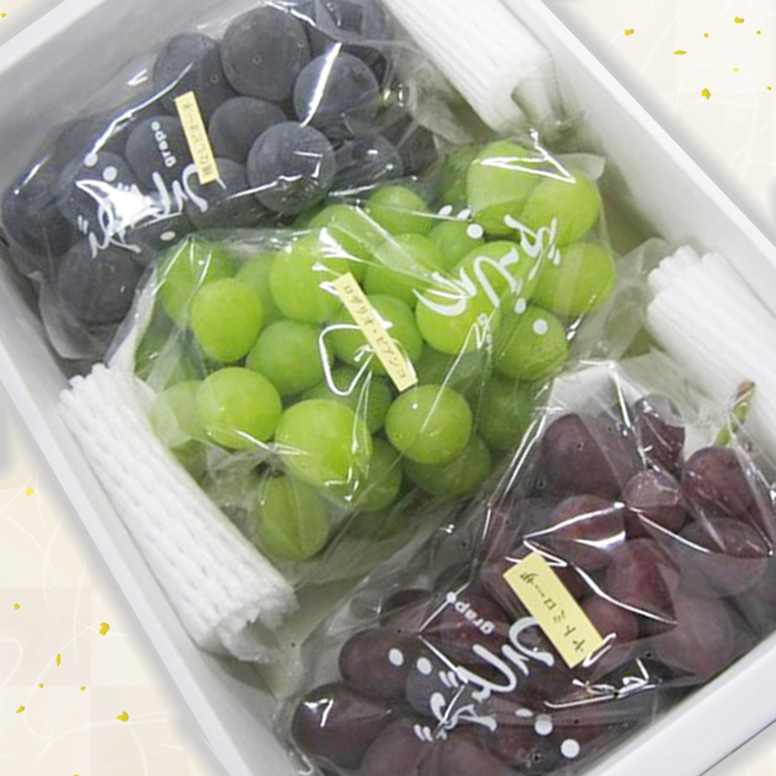 山形市産ぶどう 3種セット 秀 約1.5kg (9月発送) 【令和7年産