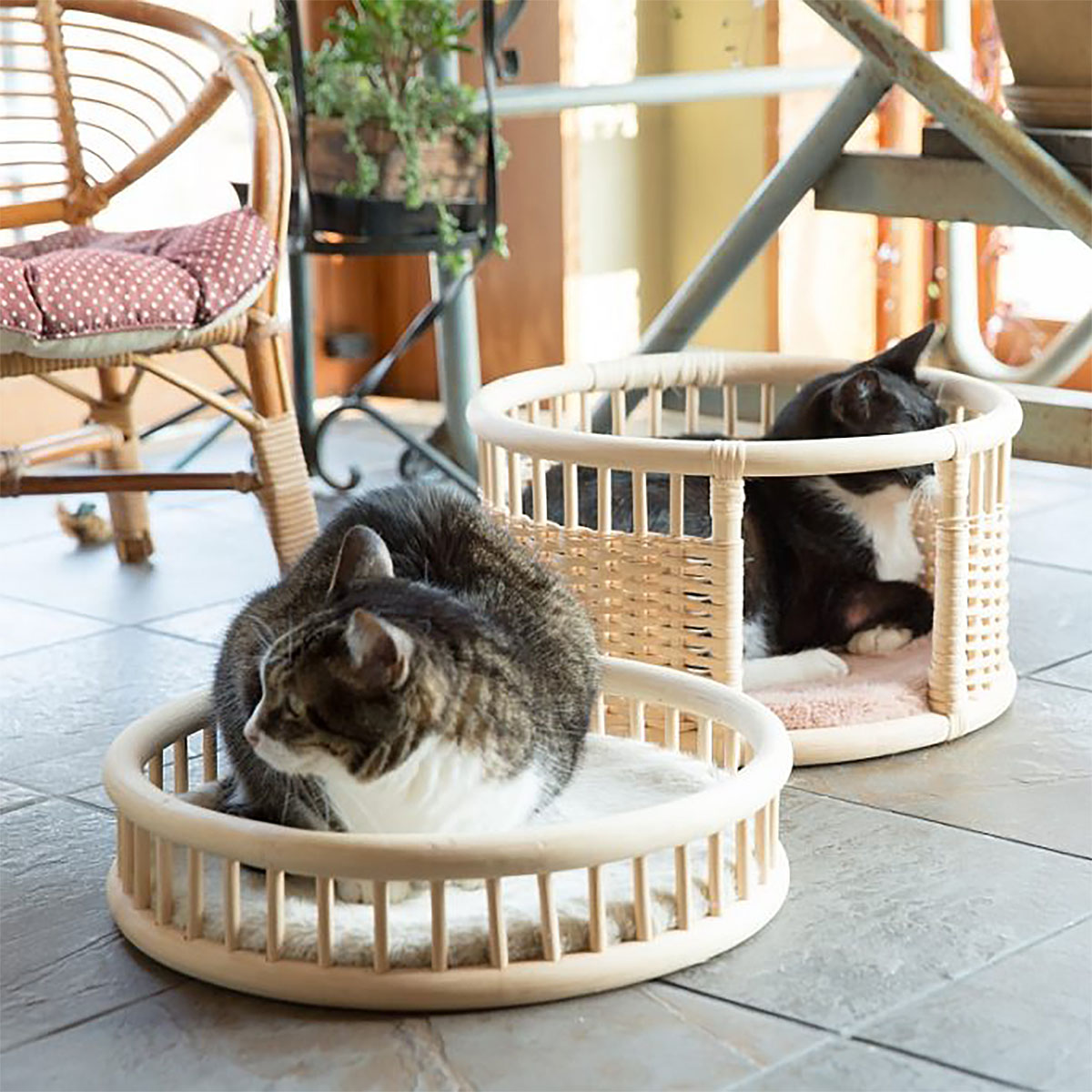 [nejiro]ネコハウス  【山形エクセレントデザイン賞受賞】FZ25