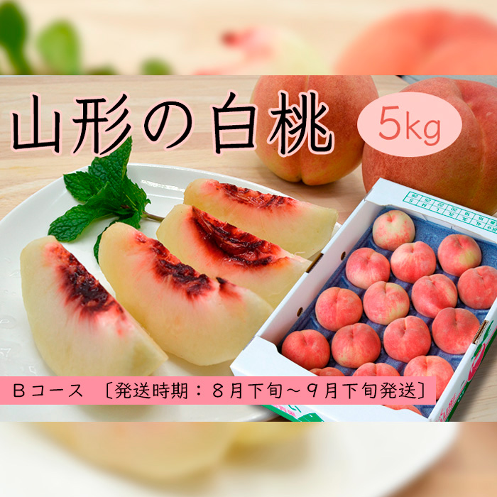 山形の白桃 5kg(10～16玉)Bコース(柔らかくなる品種・果肉や