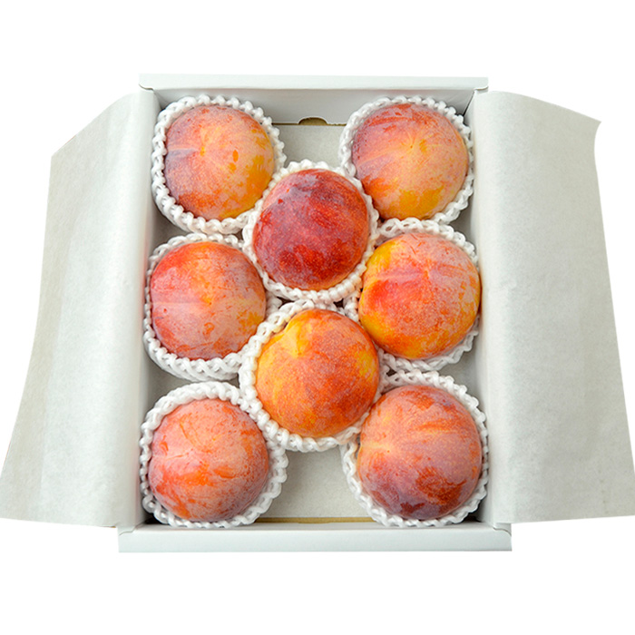 山形のすもも[秋姫]大玉 1.2kg以上(7～10玉)【令和8年産先行予