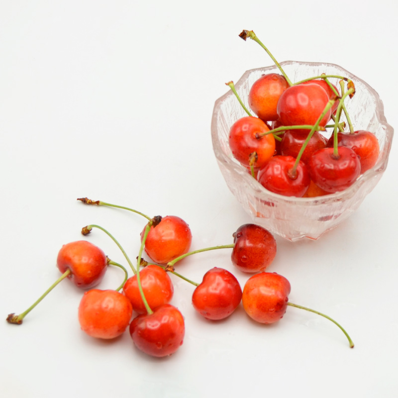 山形のさくらんぼ 紅秀峰 鏡詰め 500g Lサイズ以上 【令和8年