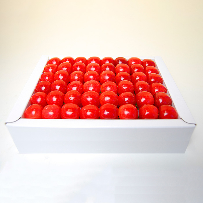 山形のさくらんぼ 佐藤錦 鏡詰め 500g Lサイズ以上 【令和8年