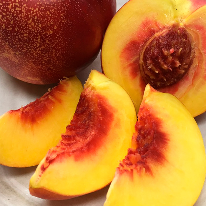 山形のネクタリン(スイートビーナス)約2kg 【令和8年産先行