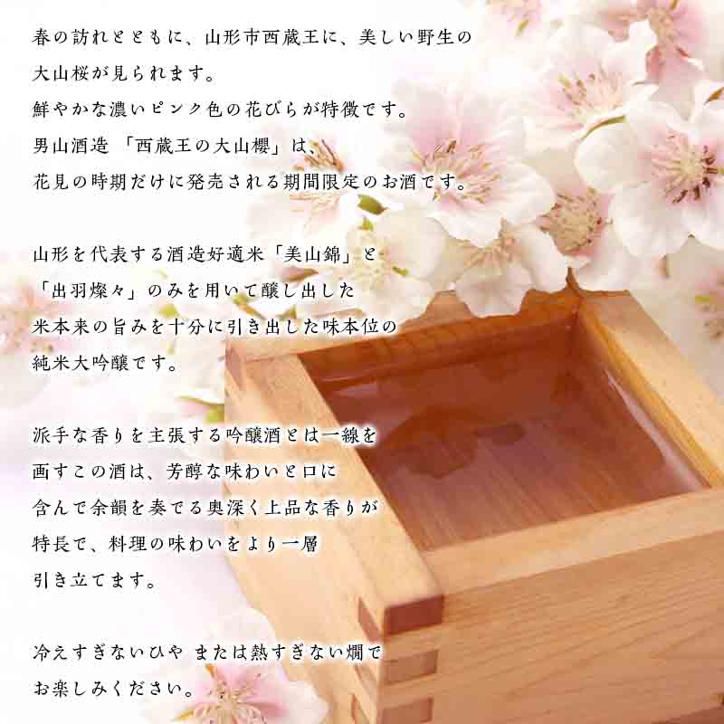 『期間限定』男山 純米大吟醸 西蔵王の大山櫻 1.8L×1本【令