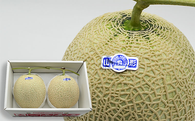 山形のアールスメロン 2玉(3kg以上)【令和8年産先行予約】FU2