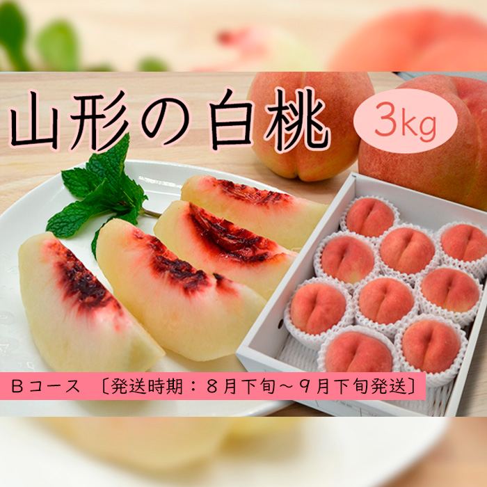 山形の白桃3kg(5～13玉)Bコース[柔らかくなる品種・果肉やや