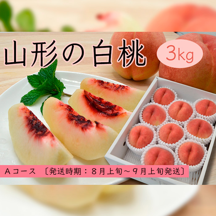 山形の白桃3kg(5～13玉)Aコース[柔らかくなる品種] 【令和8年