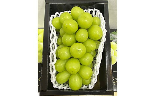 厳選シャインマスカット 秀品 600g以上 1房入 1箱 [後半] 【令