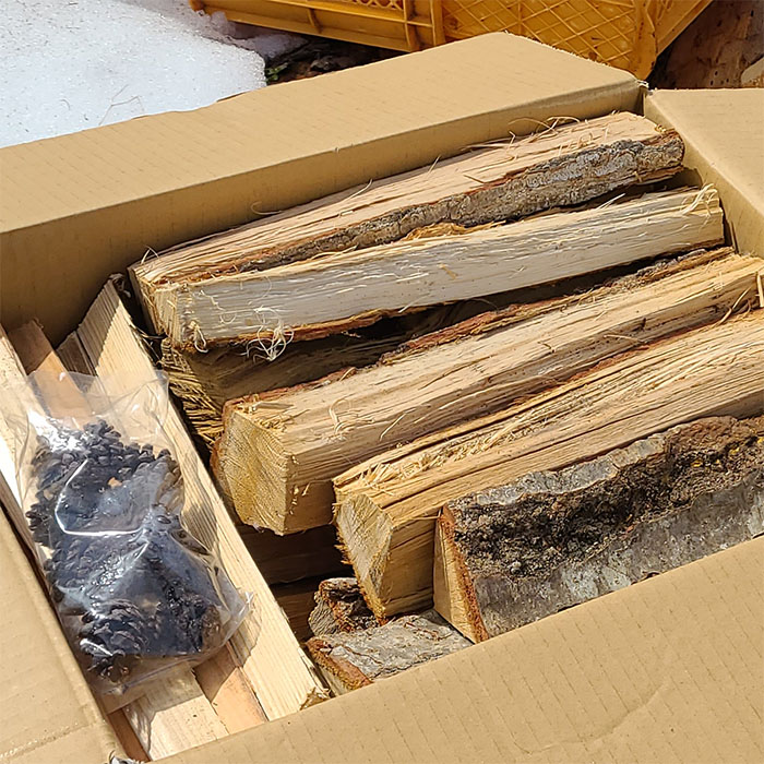 山形で育った年輪目の細かな 薪(ナラ材) 13kg[マツボックリ